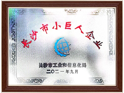 長沙市小巨人企業(yè)